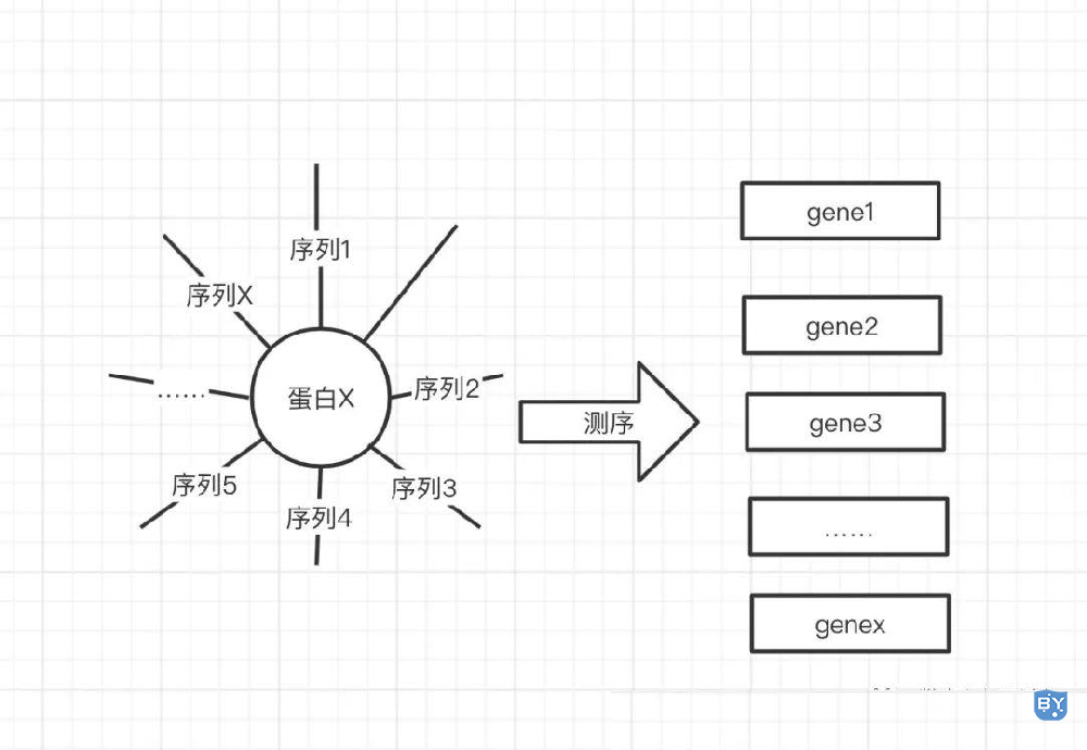 分子实验-高通量测序做什么的