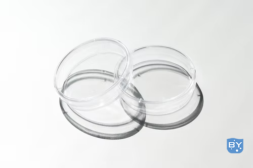 分子实验外包：分子生物学实验难吗？注意事项解析