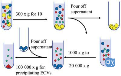 分子实验-外泌体分离提取方法（提取方法及其优缺点解析）
