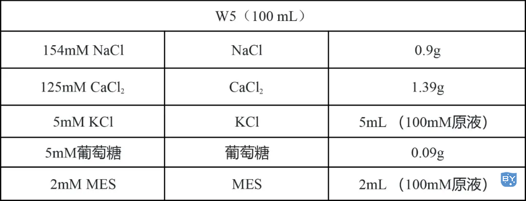 实验数据