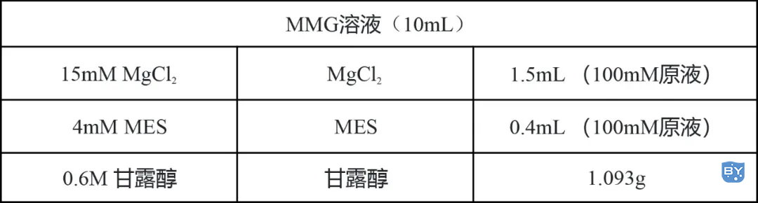 实验数据