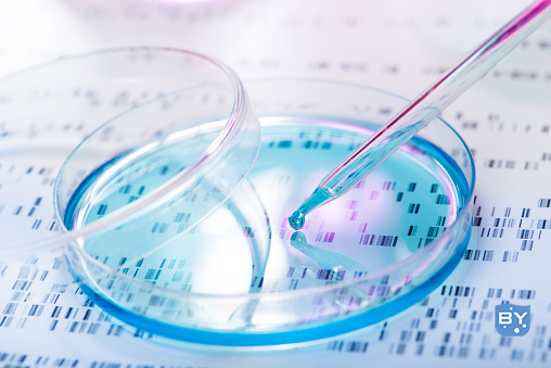 分子实验-生物分子类实验室常用实验技术原理汇总
