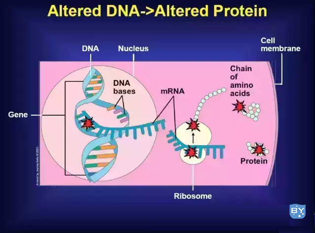 分子实验-分子病理与检测技术（分子病理学诊断方法有哪些）