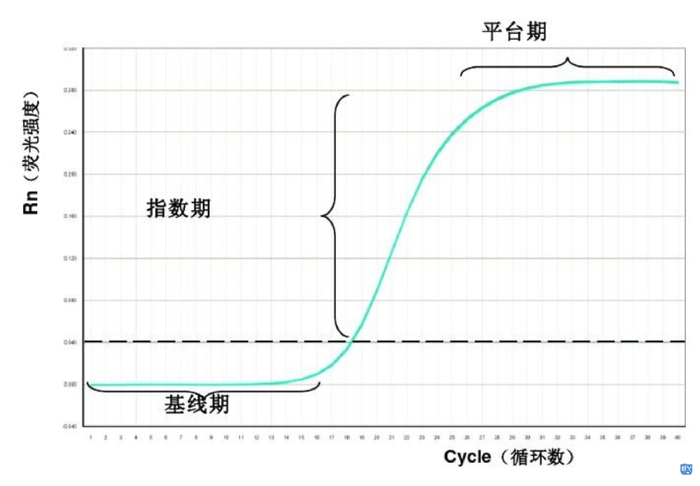 分子实验-荧光定量PCR原理（如何实现对初始模板的定量）