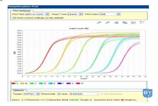 分子实验-有关实时荧光定量PCR技术讲解