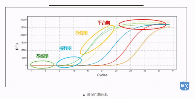 分子实验-pcr扩增效率怎么计算（​PCR常见问题汇总）