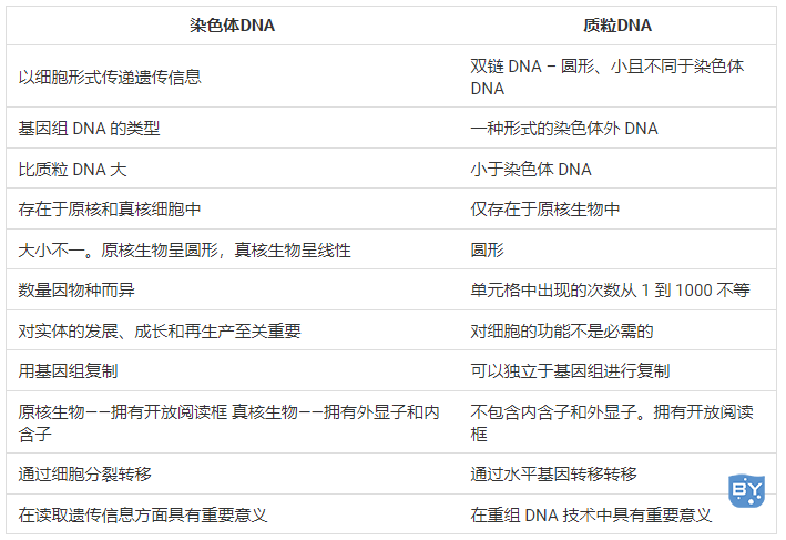 质粒DNA和染色体DNA的区别(线粒体dna与核dna有什么不同)