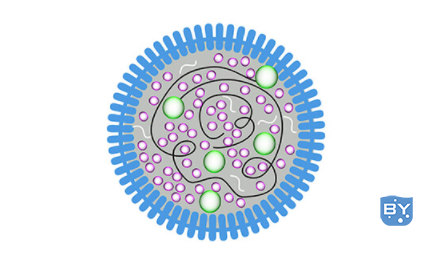 微生物学和污染物监测