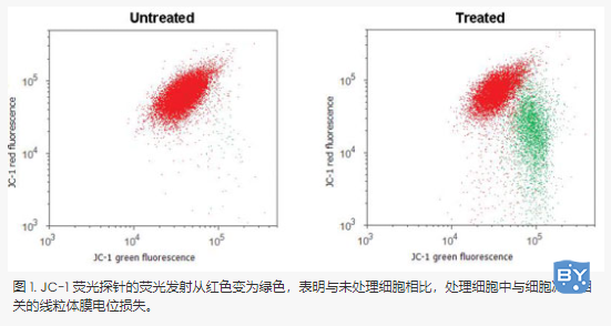 流式细胞凋亡检测细胞死亡(流式细胞检测细胞凋亡结果怎么看)