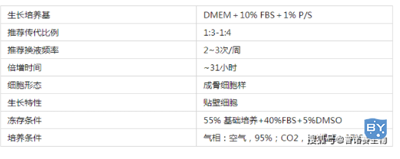 细胞培养K7M2-WT细胞(K7M2-WT细胞培养注意事项)