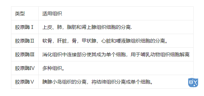 原代细胞培养实验注意事项详解(原代细胞培养的实验过程)