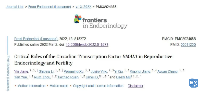 昼夜节律转录因子BMAL1在生殖内分泌学和生育中的关键作用