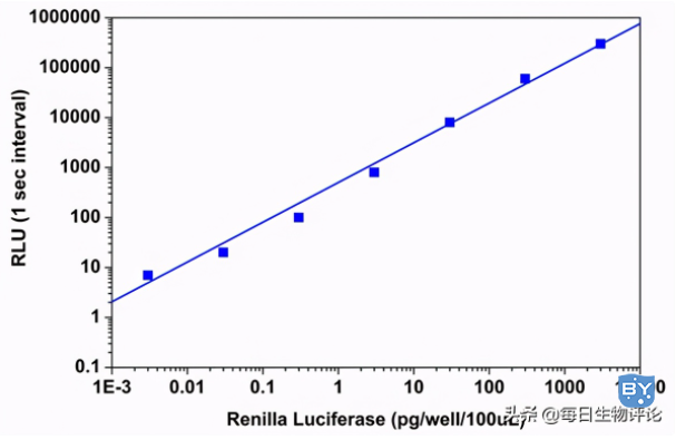 用Amplite™Renilla荧光素酶报告基因检测试剂盒在白色的96孔板中用NOVOstar酶标仪（BMG Labtech）测量了Renilla荧光素酶。