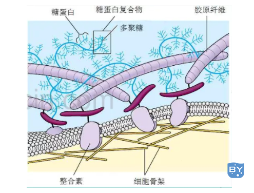 原理图