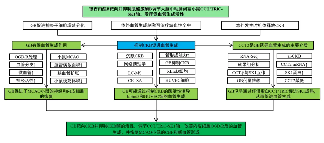 620BE044-43BB-4465-913D-B941D9F87446.png