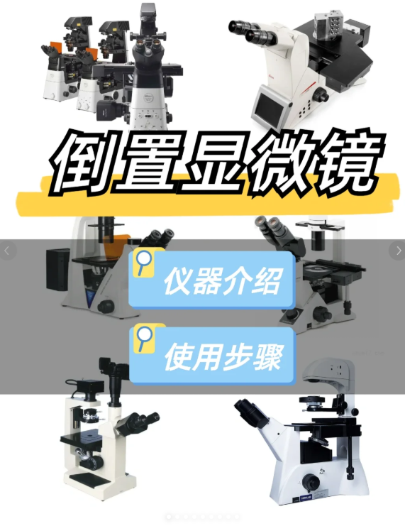 科研干货|倒置显微镜详细介绍及使用过程